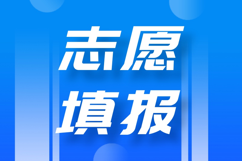 志愿填报